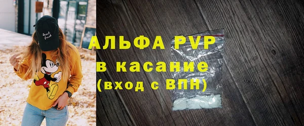 ешки Белокуриха