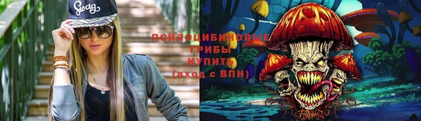 ешки Белокуриха