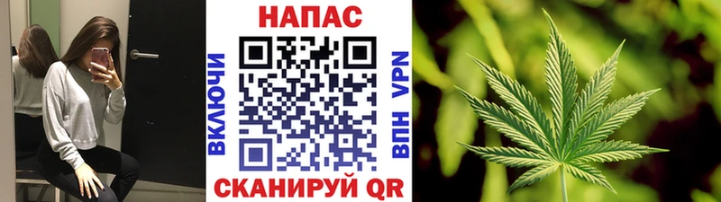 Канабис ГИДРОПОН  Цивильск 